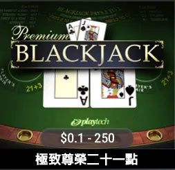 極致尊榮二十一點